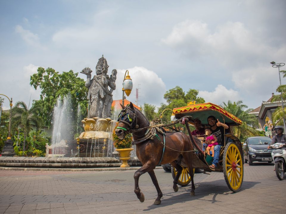 nyoman yuda wirawan zK2fzhp21ss unsplash