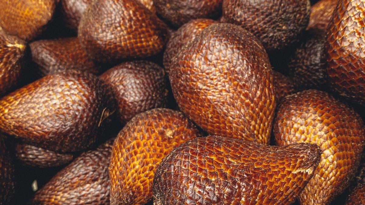 pexels adityo cahyo 4025632