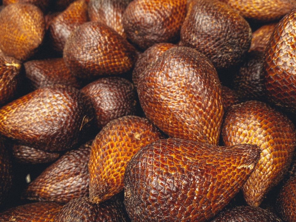 pexels adityo cahyo 4025632