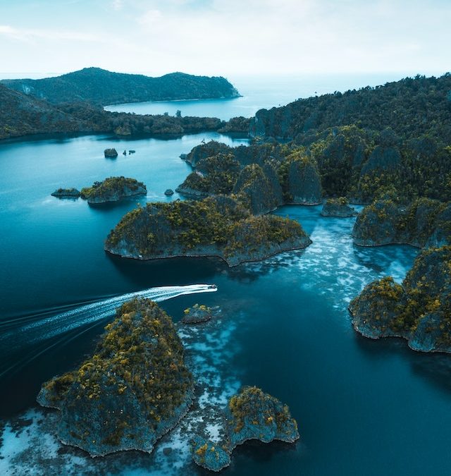 pexels stijn dijkstra 2583852