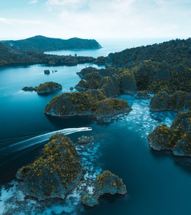 pexels stijn dijkstra 2583852